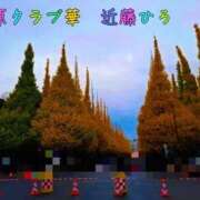 ヒメ日記 2026/01/15 14:21 投稿 近藤ひろ クラブ華