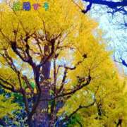 ヒメ日記 2026/01/15 16:21 投稿 近藤ひろ クラブ華