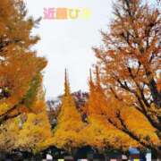 ヒメ日記 2026/01/15 16:54 投稿 近藤ひろ クラブ華