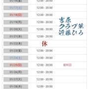 ヒメ日記 2026/01/16 03:13 投稿 近藤ひろ クラブ華
