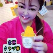 ヒメ日記 2026/01/16 05:52 投稿 近藤ひろ クラブ華