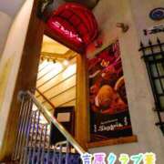 ヒメ日記 2026/01/17 10:56 投稿 近藤ひろ クラブ華