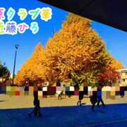 ヒメ日記 2026/01/21 15:26 投稿 近藤ひろ クラブ華