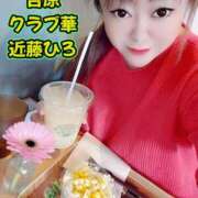 ヒメ日記 2026/01/27 10:16 投稿 近藤ひろ クラブ華