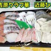 ヒメ日記 2026/01/28 15:16 投稿 近藤ひろ クラブ華