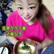 ヒメ日記 2026/01/29 08:28 投稿 近藤ひろ クラブ華