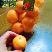 ヒメ日記 2026/01/29 09:55 投稿 近藤ひろ クラブ華