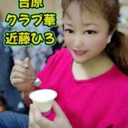 ヒメ日記 2026/01/29 10:10 投稿 近藤ひろ クラブ華