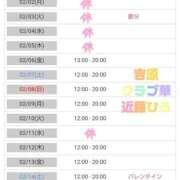 ヒメ日記 2026/02/02 04:17 投稿 近藤ひろ クラブ華