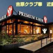 ヒメ日記 2026/02/02 13:46 投稿 近藤ひろ クラブ華