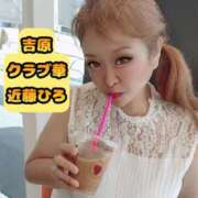 ヒメ日記 2026/02/07 02:33 投稿 近藤ひろ クラブ華