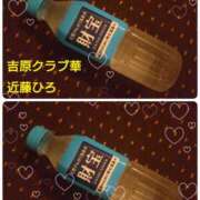 ヒメ日記 2026/02/09 07:56 投稿 近藤ひろ クラブ華