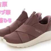 ヒメ日記 2026/02/11 11:40 投稿 近藤ひろ クラブ華