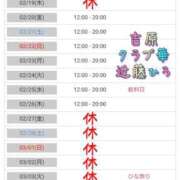 ヒメ日記 2026/02/17 07:59 投稿 近藤ひろ クラブ華