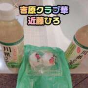 ヒメ日記 2026/02/21 07:29 投稿 近藤ひろ クラブ華