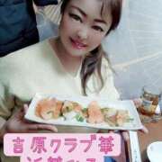 ヒメ日記 2026/03/08 08:26 投稿 近藤ひろ クラブ華