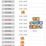 ヒメ日記 2026/03/14 07:30 投稿 近藤ひろ クラブ華