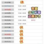 ヒメ日記 2026/03/18 08:00 投稿 近藤ひろ クラブ華