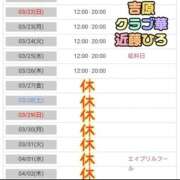 ヒメ日記 2026/03/22 05:43 投稿 近藤ひろ クラブ華