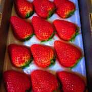 ヒメ日記 2026/03/24 08:22 投稿 近藤ひろ クラブ華