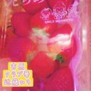 ヒメ日記 2026/03/24 13:08 投稿 近藤ひろ クラブ華