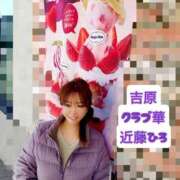 ヒメ日記 2026/03/26 22:28 投稿 近藤ひろ クラブ華