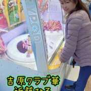 ヒメ日記 2026/04/02 01:22 投稿 近藤ひろ クラブ華