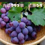 ヒメ日記 2026/04/06 13:33 投稿 近藤ひろ クラブ華