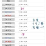 ヒメ日記 2026/04/08 07:06 投稿 近藤ひろ クラブ華