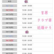ヒメ日記 2026/04/10 01:55 投稿 近藤ひろ クラブ華