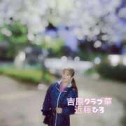 ヒメ日記 2026/04/13 00:34 投稿 近藤ひろ クラブ華