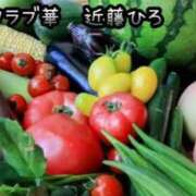 ヒメ日記 2026/04/13 17:40 投稿 近藤ひろ クラブ華