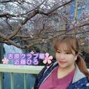 ヒメ日記 2026/04/15 07:36 投稿 近藤ひろ クラブ華