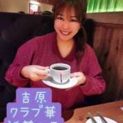 ヒメ日記 2026/04/16 07:14 投稿 近藤ひろ クラブ華