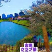 ヒメ日記 2026/04/21 09:45 投稿 近藤ひろ クラブ華