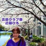 ヒメ日記 2026/04/23 04:38 投稿 近藤ひろ クラブ華