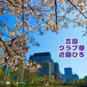 ヒメ日記 2026/04/23 06:30 投稿 近藤ひろ クラブ華