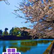 ヒメ日記 2026/04/23 23:38 投稿 近藤ひろ クラブ華