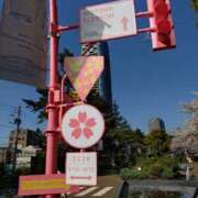 近藤ひろ 東京ミッドタウンブロッサム🌸 クラブ華