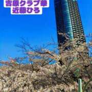 ヒメ日記 2026/04/25 21:32 投稿 近藤ひろ クラブ華