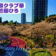 ヒメ日記 2026/04/25 22:19 投稿 近藤ひろ クラブ華
