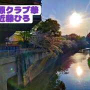 ヒメ日記 2026/04/25 22:49 投稿 近藤ひろ クラブ華
