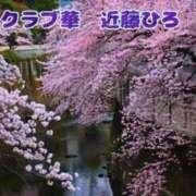 ヒメ日記 2026/04/25 23:48 投稿 近藤ひろ クラブ華