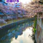 ヒメ日記 2026/04/26 08:44 投稿 近藤ひろ クラブ華