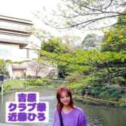 ヒメ日記 2026/04/26 09:52 投稿 近藤ひろ クラブ華
