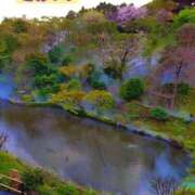 ヒメ日記 2026/04/27 10:11 投稿 近藤ひろ クラブ華