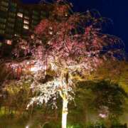 ヒメ日記 2026/04/29 23:06 投稿 近藤ひろ クラブ華