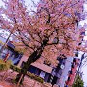 ヒメ日記 2026/05/02 07:55 投稿 近藤ひろ クラブ華
