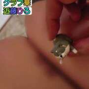 ヒメ日記 2026/05/03 07:51 投稿 近藤ひろ クラブ華