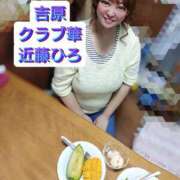 ヒメ日記 2026/05/29 07:55 投稿 近藤ひろ クラブ華